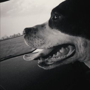 Meet your Posher, Nick